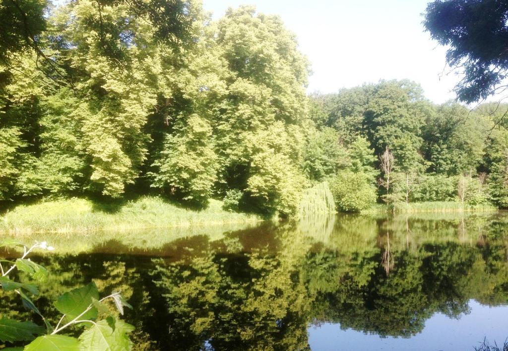 Carmina Am See Karnin  Екстер'єр фото