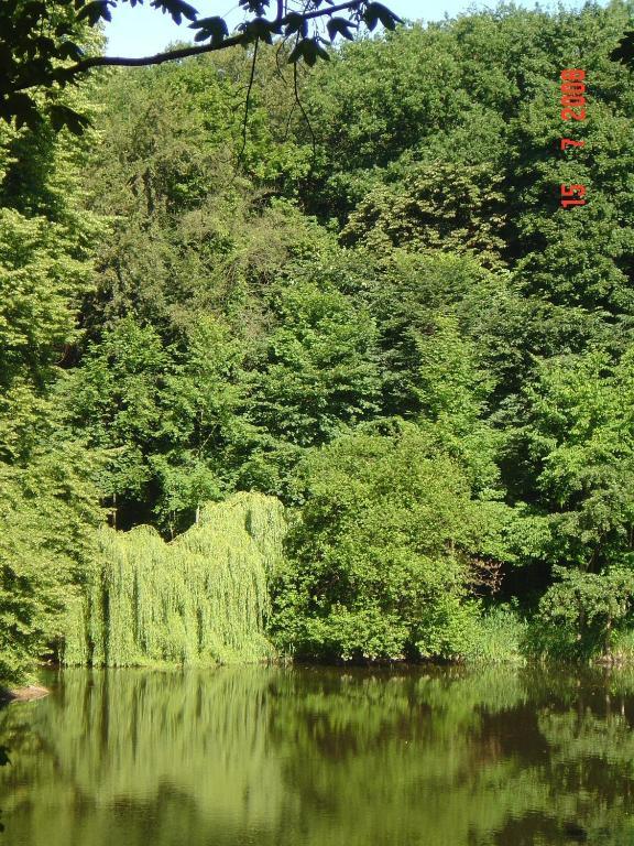 Carmina Am See Karnin  Екстер'єр фото
